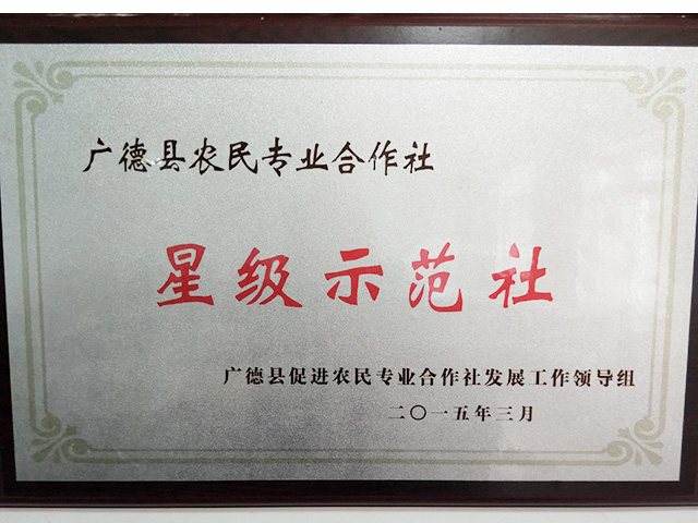 Ǽ(j)ʾ