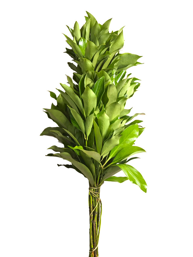 Ƙ
